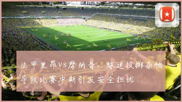 法甲里昂vs摩纳哥,球迷投掷杂物导致比赛中断引发安全担忧